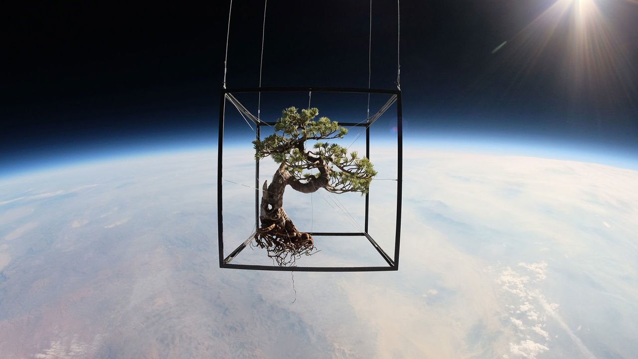 Azuma Makoto - Bonsai nello spazio